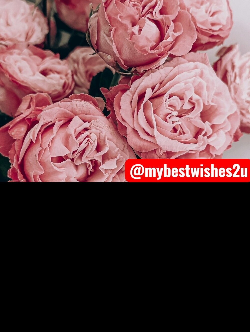🌷🩵🩷🌸💮🌺 - Picture 2 of 3